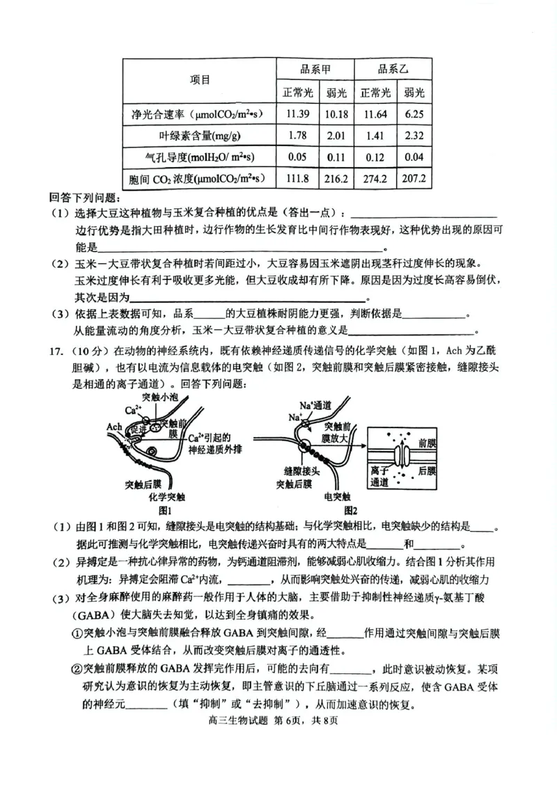 安徽师范大学附属中学2025届高三下学期5月考前适应性检测生物试卷（含答案）_2025年5月_250529安徽师范大学附属中学2025届高三下学期模拟预测（全科）