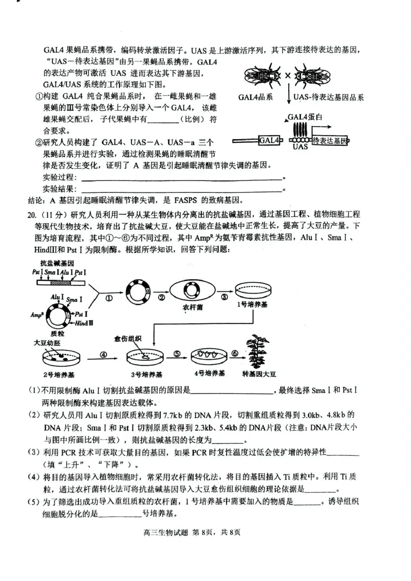 安徽师范大学附属中学2025届高三下学期5月考前适应性检测生物试卷（含答案）_2025年5月_250529安徽师范大学附属中学2025届高三下学期模拟预测（全科）