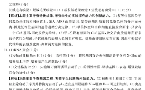 生物学答案江西省2025届高三下学期4月联考（金太阳25-450C）_2025年5月_0502江西省2025届金太阳高三下学期4月联考（25-450C）（全科）