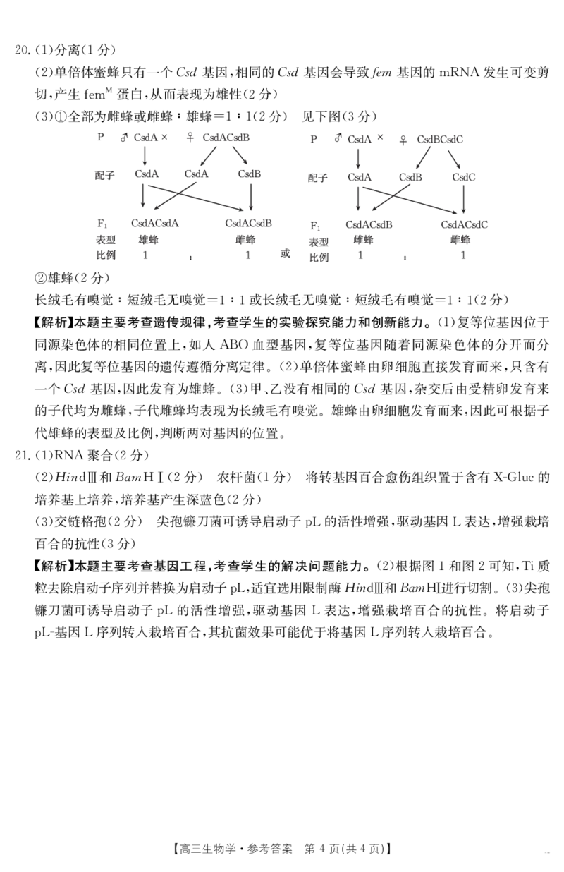 生物学答案江西省2025届高三下学期4月联考（金太阳25-450C）_2025年5月_0502江西省2025届金太阳高三下学期4月联考（25-450C）（全科）