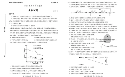 山东省枣庄市2025届高三模拟考试（枣庄二调）生物试题（含答案）_2025年3月_250319山东省枣庄市2025届高三模拟考试（枣庄二调）（全科）