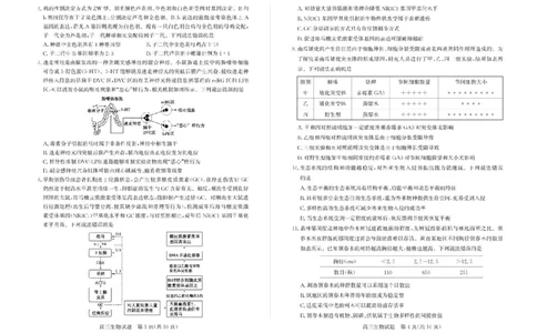 山东省枣庄市2025届高三模拟考试（枣庄二调）生物试题（含答案）_2025年3月_250319山东省枣庄市2025届高三模拟考试（枣庄二调）（全科）