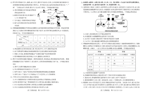 山东省枣庄市2025届高三模拟考试（枣庄二调）生物试题（含答案）_2025年3月_250319山东省枣庄市2025届高三模拟考试（枣庄二调）（全科）