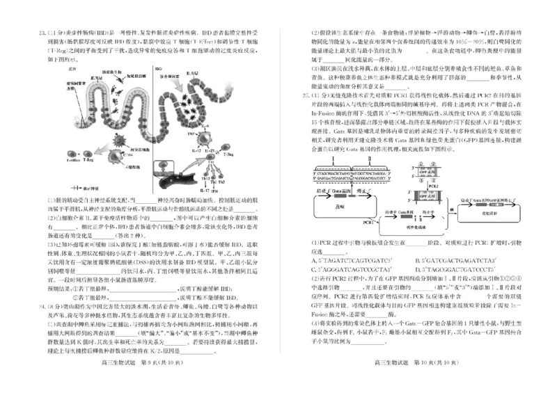 山东省枣庄市2025届高三模拟考试（枣庄二调）生物试题（含答案）_2025年3月_250319山东省枣庄市2025届高三模拟考试（枣庄二调）（全科）