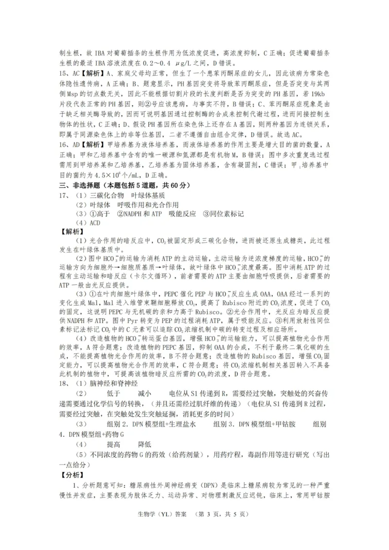 生物答案（YL）_2025年1月_250107湖南省长沙市雅礼中学2024-2025学年高三上学期1月综合自主测试（期末）_湖南省长沙市雅礼中学2024-2025学年高三上学期1月综合自主测试生物