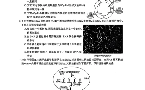 湖南省天壹名校联盟2026届高三8月入学考试生物_2025年8月_250831湖南省天壹名校联盟2026届高三8月入学考试（湘潭市2026届高三第一次模拟考试）（全科）