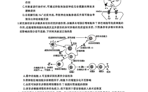 湖南省天壹名校联盟2026届高三8月入学考试生物_2025年8月_250831湖南省天壹名校联盟2026届高三8月入学考试（湘潭市2026届高三第一次模拟考试）（全科）