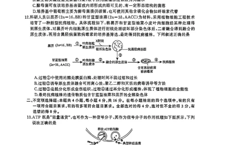 湖南省天壹名校联盟2026届高三8月入学考试生物_2025年8月_250831湖南省天壹名校联盟2026届高三8月入学考试（湘潭市2026届高三第一次模拟考试）（全科）