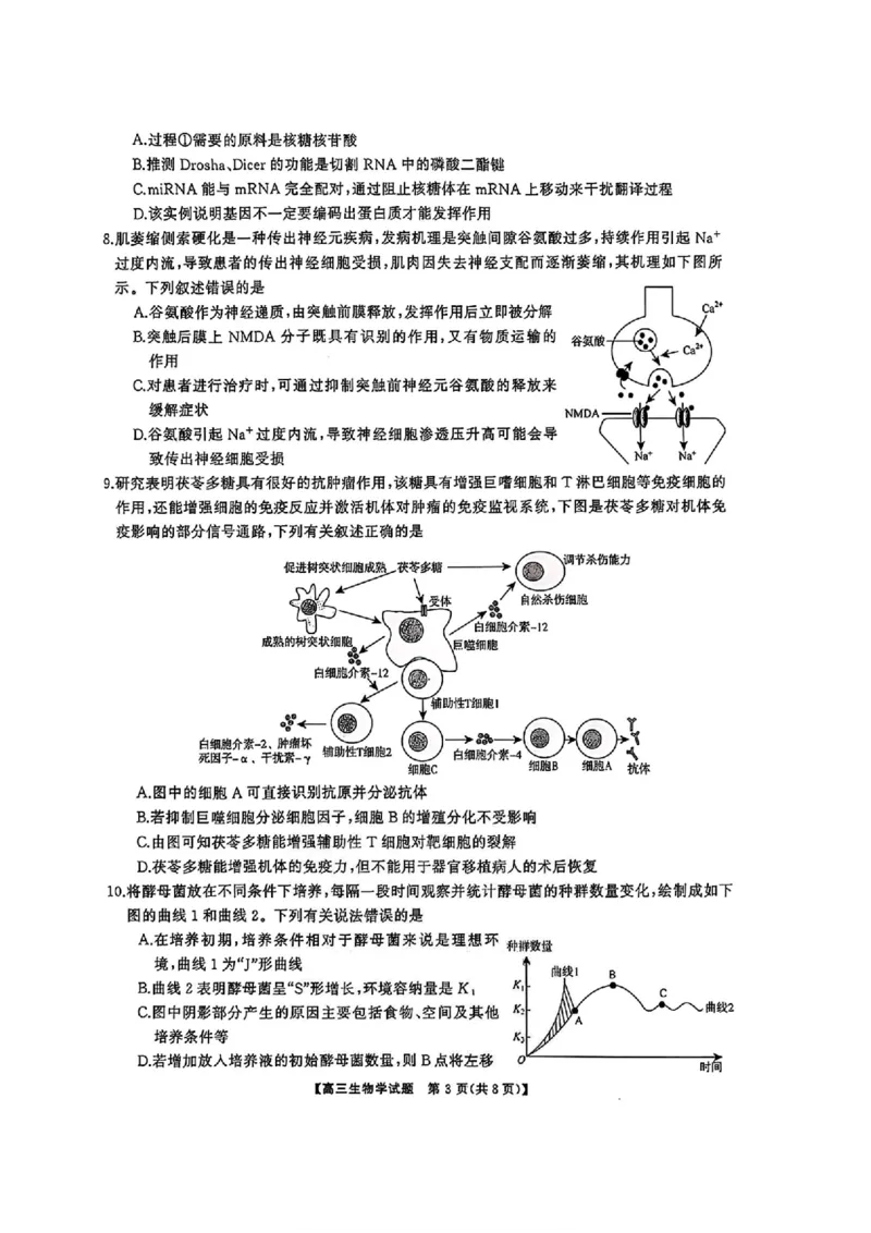 湖南省天壹名校联盟2026届高三8月入学考试生物_2025年8月_250831湖南省天壹名校联盟2026届高三8月入学考试（湘潭市2026届高三第一次模拟考试）（全科）
