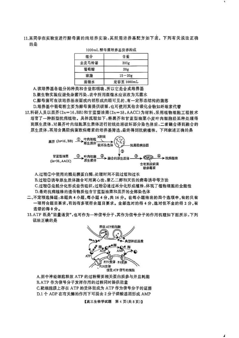 湖南省天壹名校联盟2026届高三8月入学考试生物_2025年8月_250831湖南省天壹名校联盟2026届高三8月入学考试（湘潭市2026届高三第一次模拟考试）（全科）
