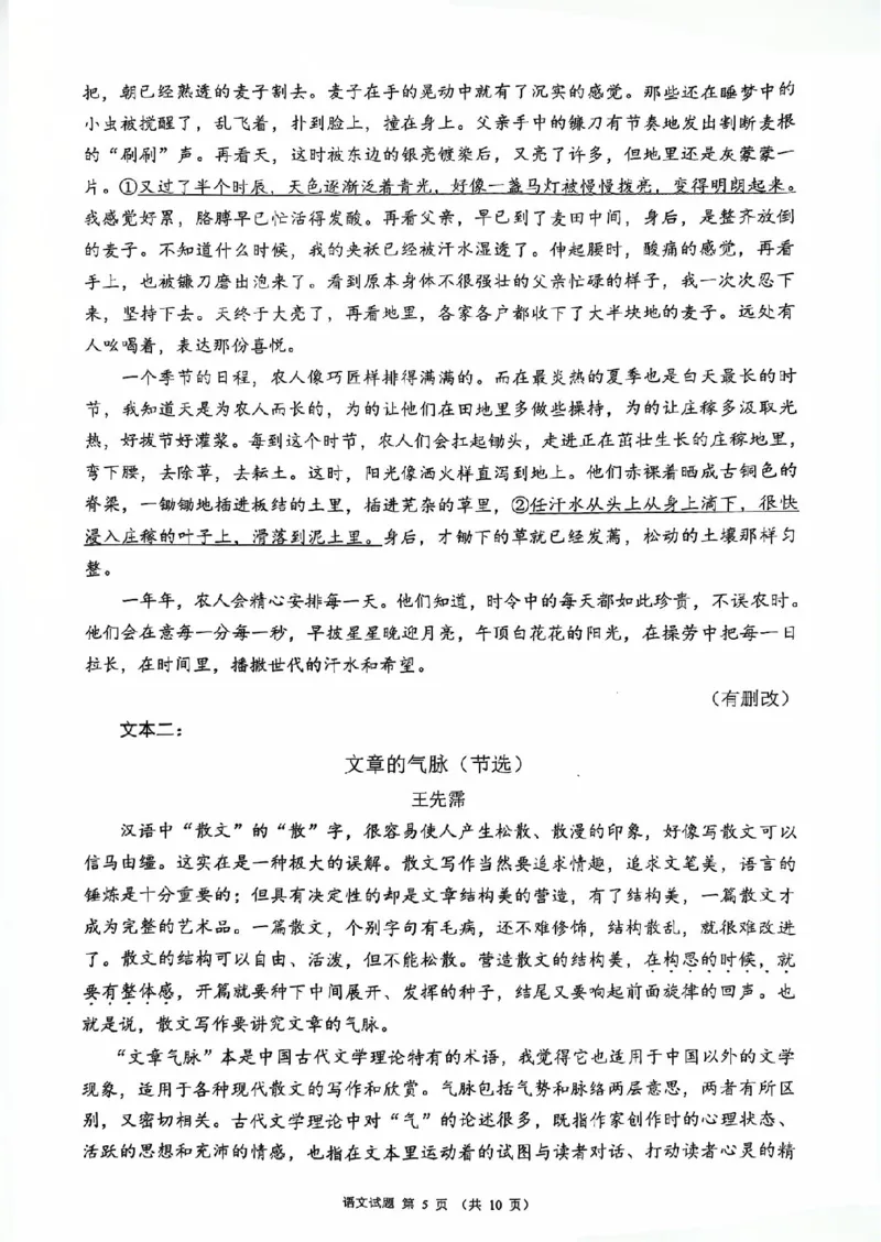 四川省（蓉城名校联盟）新高考2022级高三适应性考试语文_2025年5月_250516四川省（蓉城名校联盟）新高考2022级高三适应性考试（全科）