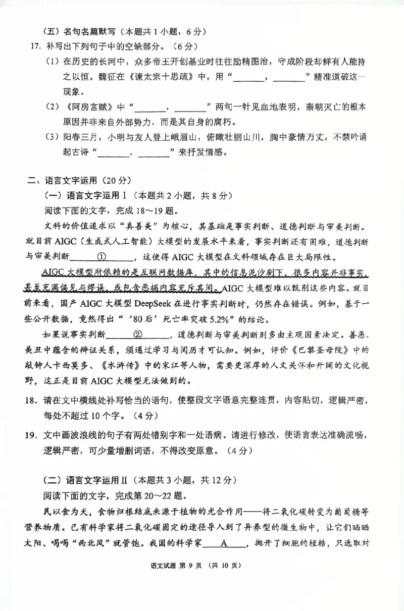 四川省（蓉城名校联盟）新高考2022级高三适应性考试语文_2025年5月_250516四川省（蓉城名校联盟）新高考2022级高三适应性考试（全科）
