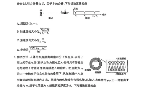 湖南省长沙市第一中学2024-2025学年高三下学期月考（七）物理试题_2025年3月_250323湖南省长沙市第一中学2024-2025学年高三下学期月考（七）
