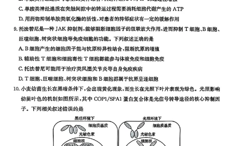 生物金太阳&middot;安徽省皖西南高中振兴发展联盟高三起点考试（26-04C）_2025年8月_250831金太阳&middot;安徽省皖西南高中振兴发展联盟高三起点考试（26-04C）（全科）