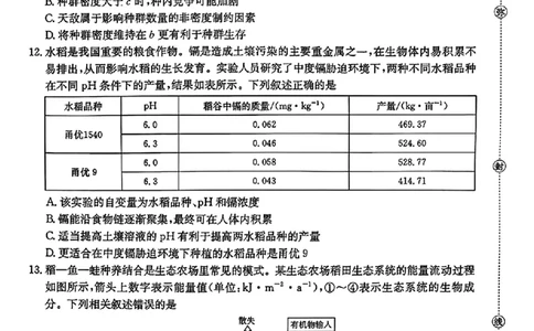 生物金太阳&middot;安徽省皖西南高中振兴发展联盟高三起点考试（26-04C）_2025年8月_250831金太阳&middot;安徽省皖西南高中振兴发展联盟高三起点考试（26-04C）（全科）