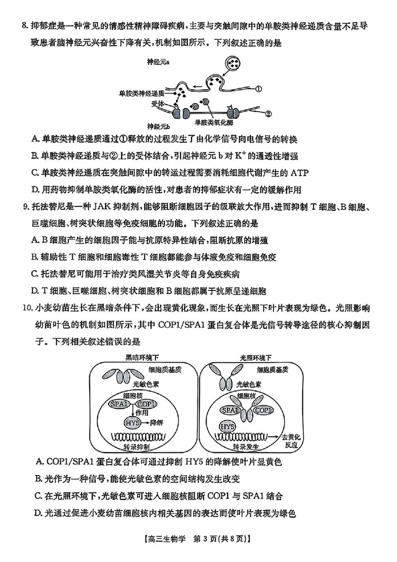 生物金太阳&middot;安徽省皖西南高中振兴发展联盟高三起点考试（26-04C）_2025年8月_250831金太阳&middot;安徽省皖西南高中振兴发展联盟高三起点考试（26-04C）（全科）
