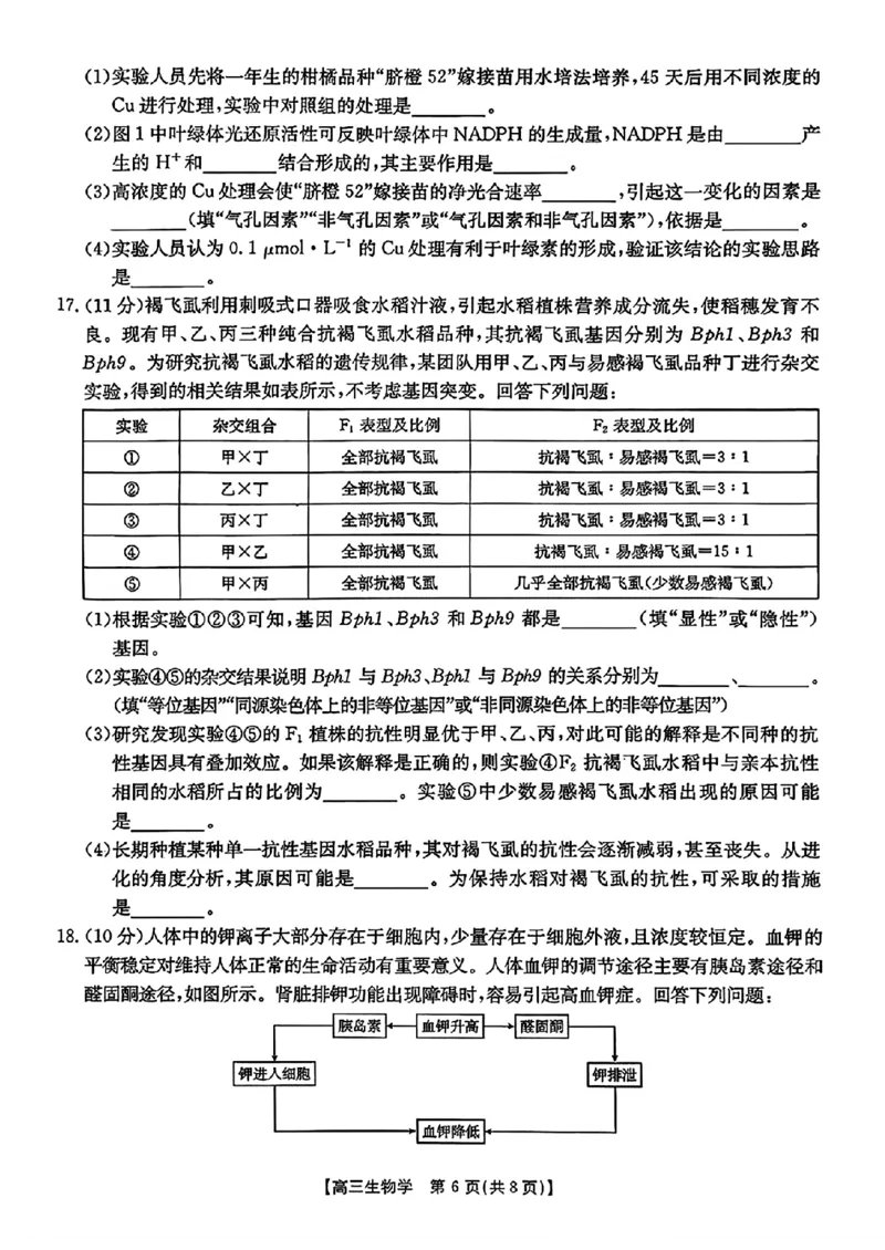 生物金太阳&middot;安徽省皖西南高中振兴发展联盟高三起点考试（26-04C）_2025年8月_250831金太阳&middot;安徽省皖西南高中振兴发展联盟高三起点考试（26-04C）（全科）