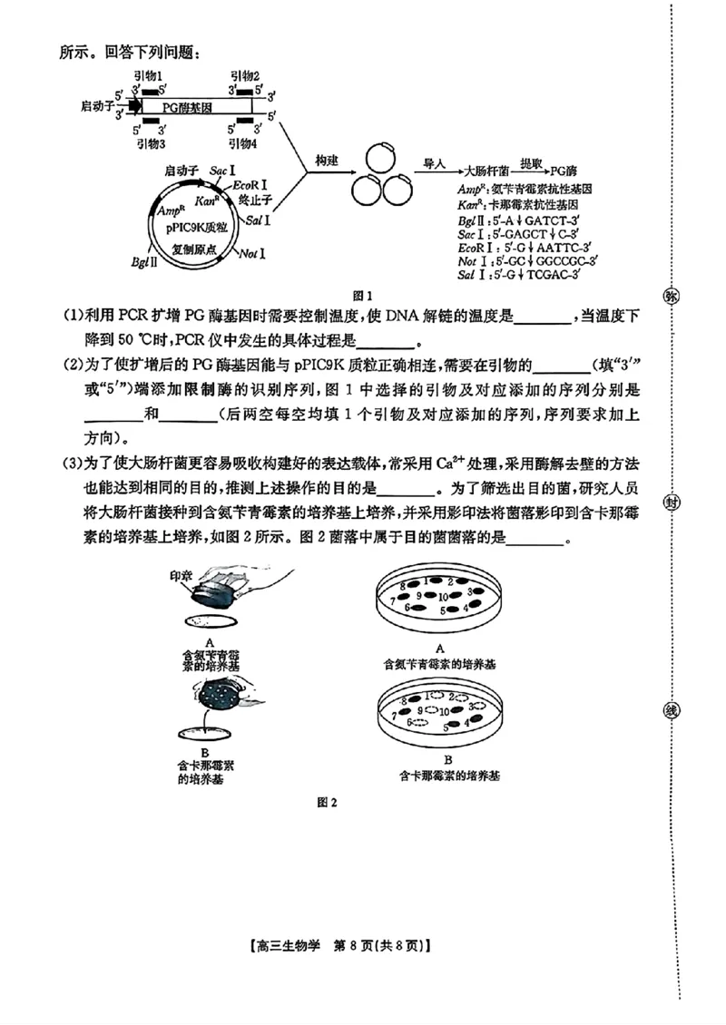 生物金太阳&middot;安徽省皖西南高中振兴发展联盟高三起点考试（26-04C）_2025年8月_250831金太阳&middot;安徽省皖西南高中振兴发展联盟高三起点考试（26-04C）（全科）