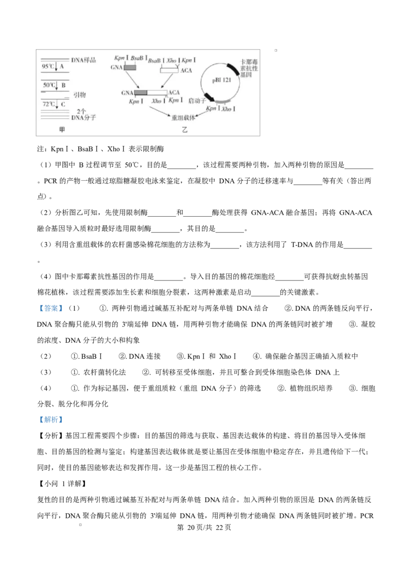 河北省衡水市高中联考2026届高三上学期质检（一）生物答案_2025年9月_250910河北省衡水市高中联考2026届高三上学期质检（一）（全科）