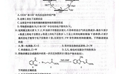 辽宁省辽阳市2025届高三下学期第一次模拟考试（辽阳一模）化学+答案_2025年3月_250318辽宁省辽阳市2025届高三下学期第一次模拟考试（辽阳一模）