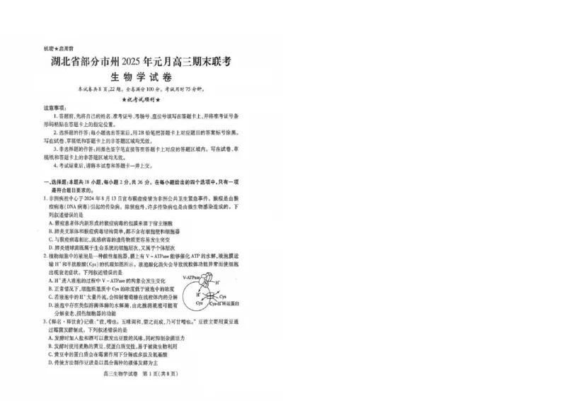 生物试卷_2025年1月_250108湖北省部分市州2025年元月高三期末联考（全科）_湖北省部分市州2025年元月高三期末联考生物