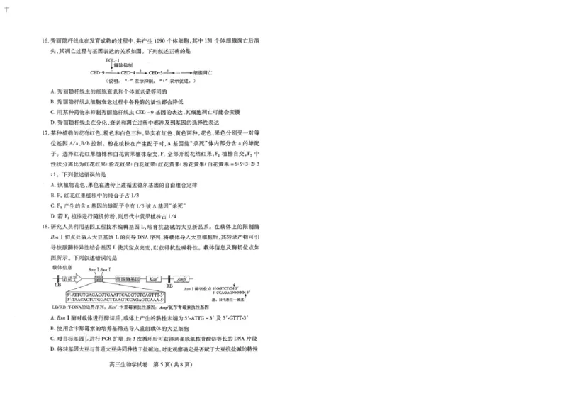 生物试卷_2025年1月_250108湖北省部分市州2025年元月高三期末联考（全科）_湖北省部分市州2025年元月高三期末联考生物