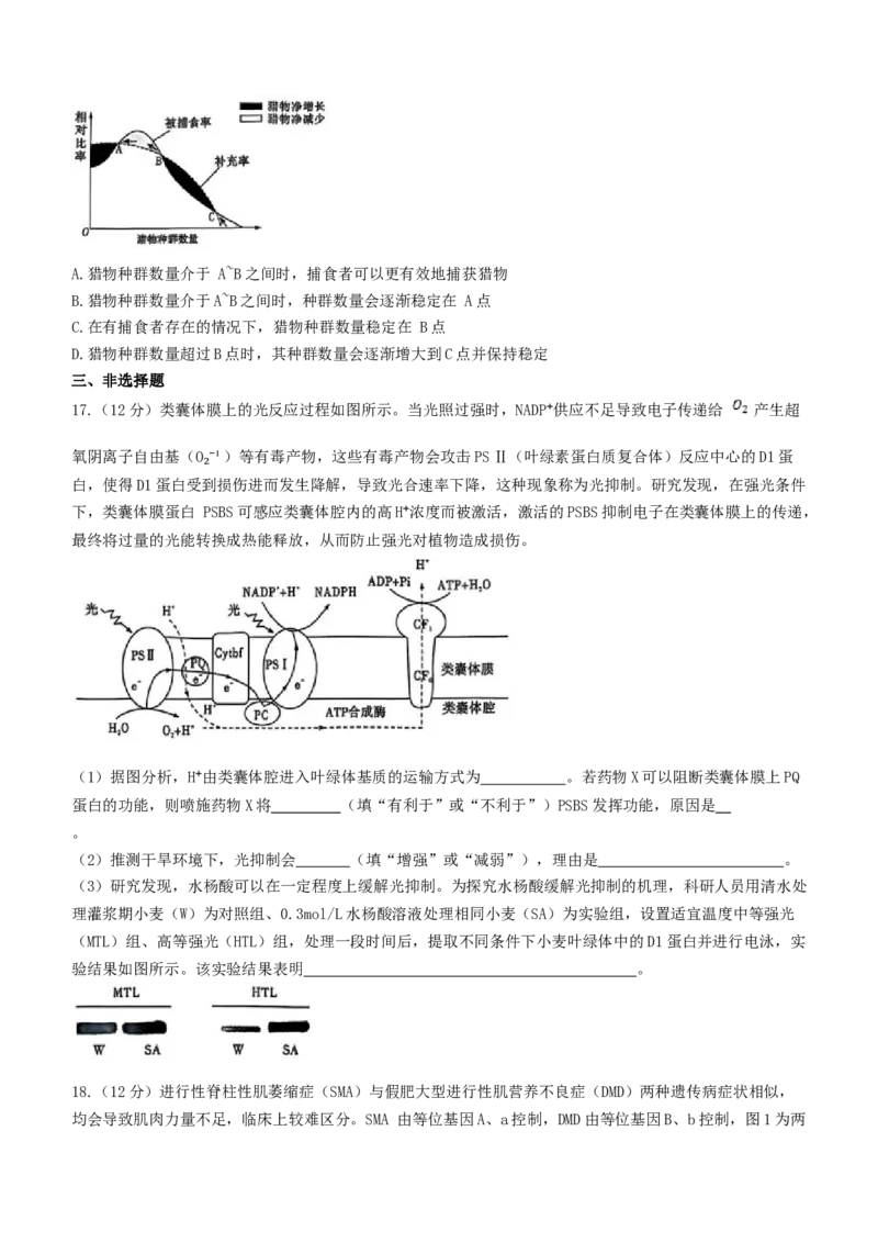 湖南省长沙市湖南师范大学附属中学2024-2025学年高三下学期月考（七）生物试题（有答案）_2025年3月_250329湖南省长沙市湖南师范大学附属中学2024-2025学年高三下学期月考（七）