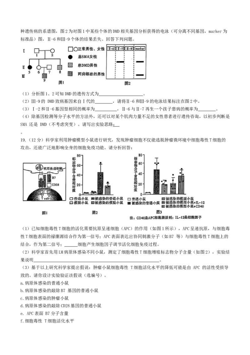 湖南省长沙市湖南师范大学附属中学2024-2025学年高三下学期月考（七）生物试题（有答案）_2025年3月_250329湖南省长沙市湖南师范大学附属中学2024-2025学年高三下学期月考（七）
