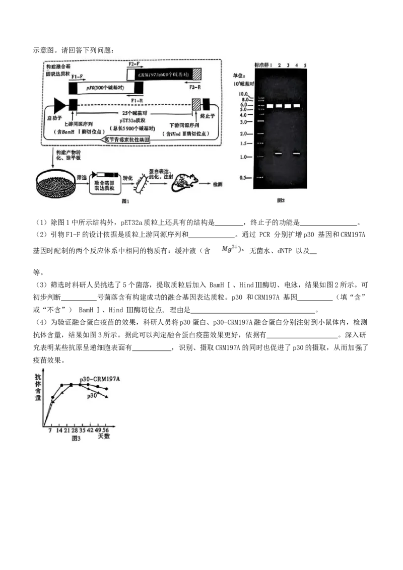 湖南省长沙市湖南师范大学附属中学2024-2025学年高三下学期月考（七）生物试题（有答案）_2025年3月_250329湖南省长沙市湖南师范大学附属中学2024-2025学年高三下学期月考（七）