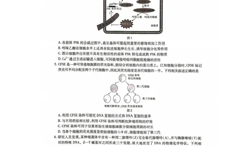 广西2025届高三下学期开学考（上进联考）生物+答案_2025年2月_250208广西2025届高三下学期开学考（上进联考）