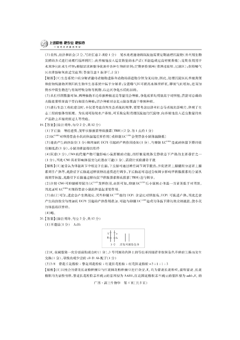 广西2025届高三下学期开学考（上进联考）生物+答案_2025年2月_250208广西2025届高三下学期开学考（上进联考）