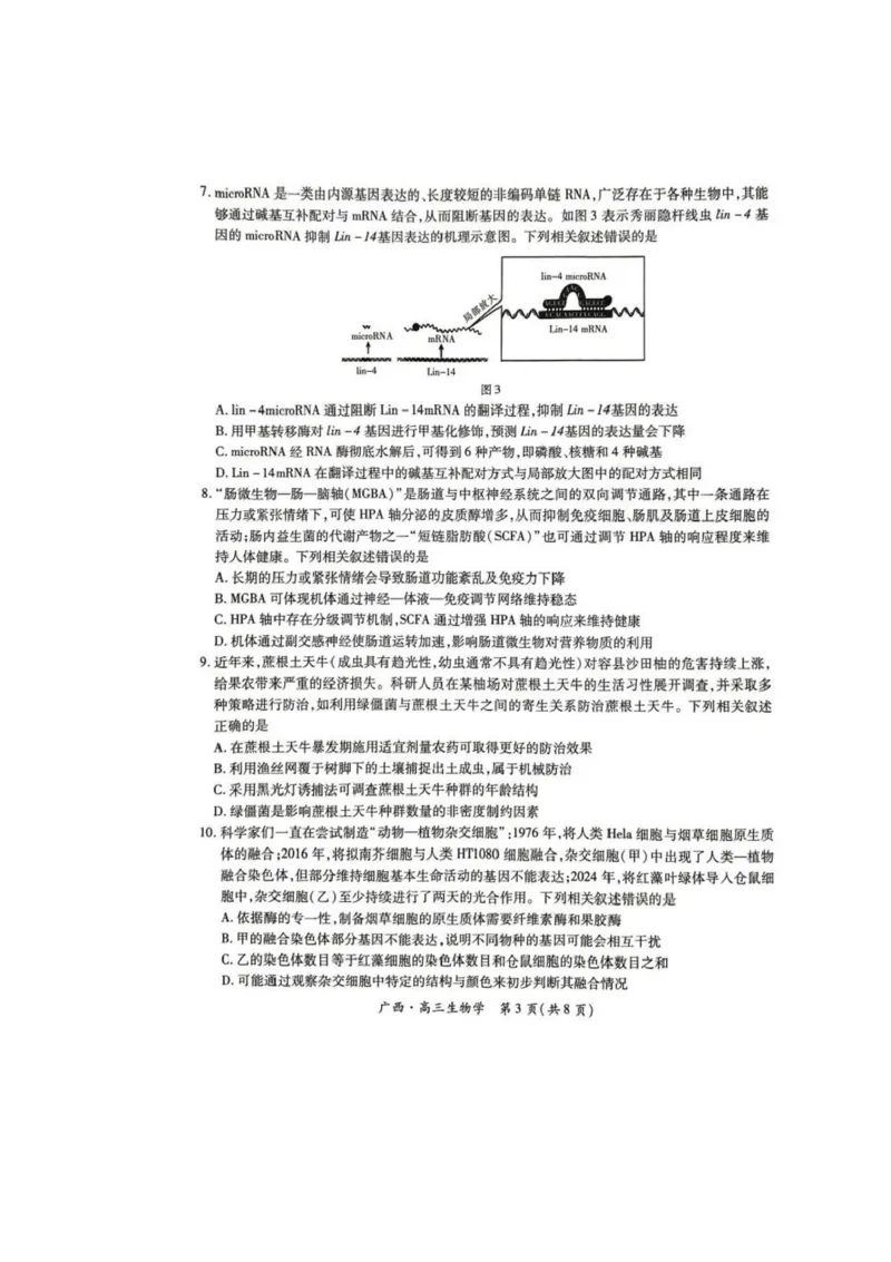 广西2025届高三下学期开学考（上进联考）生物+答案_2025年2月_250208广西2025届高三下学期开学考（上进联考）