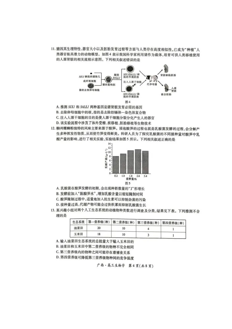 广西2025届高三下学期开学考（上进联考）生物+答案_2025年2月_250208广西2025届高三下学期开学考（上进联考）