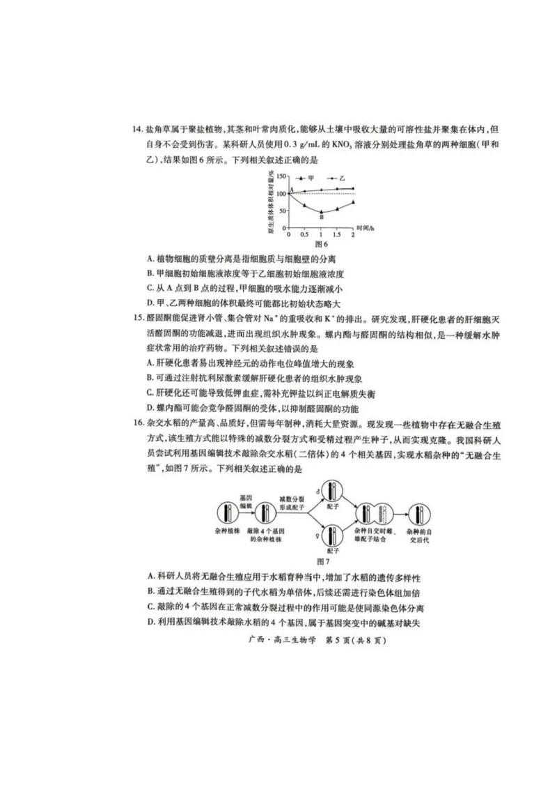 广西2025届高三下学期开学考（上进联考）生物+答案_2025年2月_250208广西2025届高三下学期开学考（上进联考）