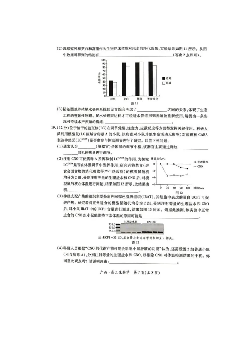广西2025届高三下学期开学考（上进联考）生物+答案_2025年2月_250208广西2025届高三下学期开学考（上进联考）