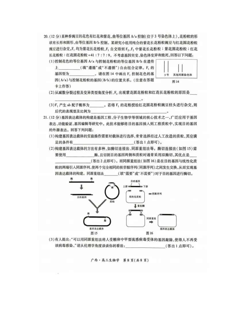 广西2025届高三下学期开学考（上进联考）生物+答案_2025年2月_250208广西2025届高三下学期开学考（上进联考）
