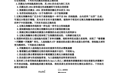 海南中学2026届高三年级第0次月考生物_2025年9月_250909海南省海口市海南中学2025-2026学年高三上学期9月月考_海南省海口市海南中学2025-2026学年高三上学期9月月考生物试题（有答案）