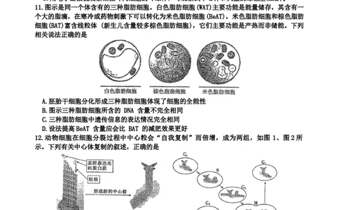 海南中学2026届高三年级第0次月考生物_2025年9月_250909海南省海口市海南中学2025-2026学年高三上学期9月月考_海南省海口市海南中学2025-2026学年高三上学期9月月考生物试题（有答案）