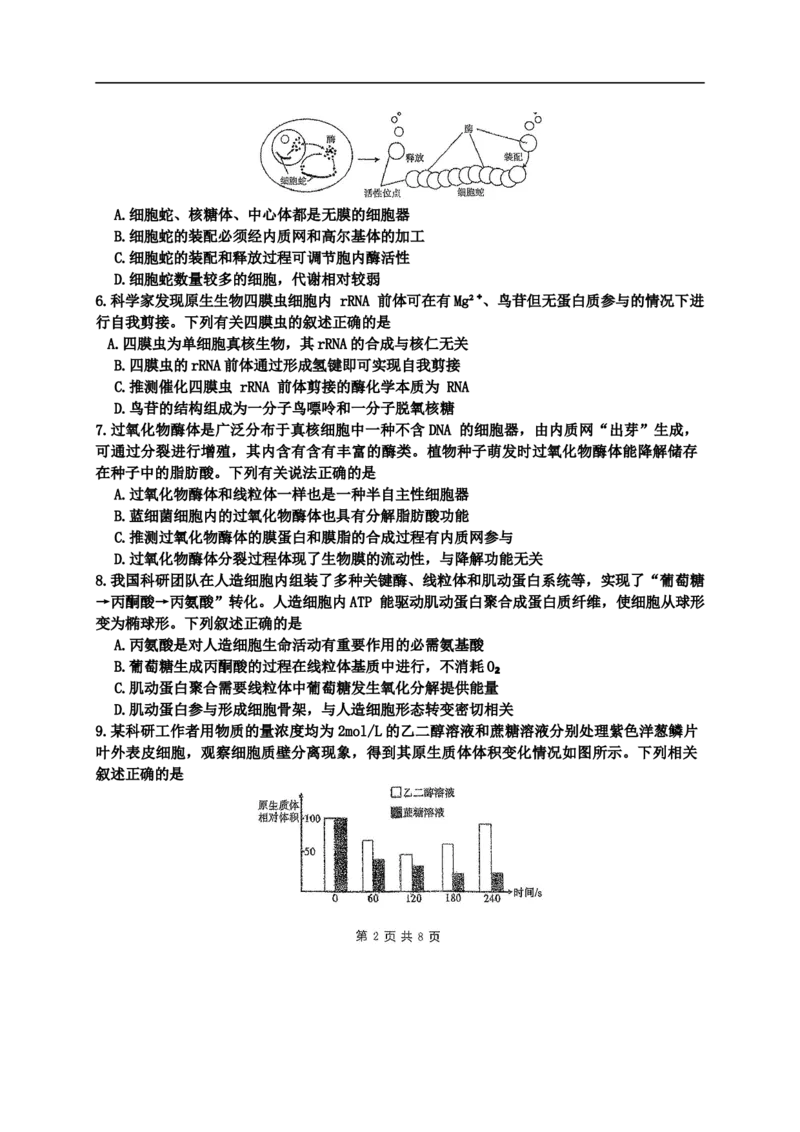 海南中学2026届高三年级第0次月考生物_2025年9月_250909海南省海口市海南中学2025-2026学年高三上学期9月月考_海南省海口市海南中学2025-2026学年高三上学期9月月考生物试题（有答案）