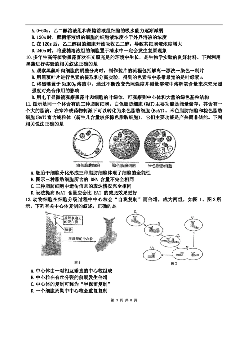 海南中学2026届高三年级第0次月考生物_2025年9月_250909海南省海口市海南中学2025-2026学年高三上学期9月月考_海南省海口市海南中学2025-2026学年高三上学期9月月考生物试题（有答案）