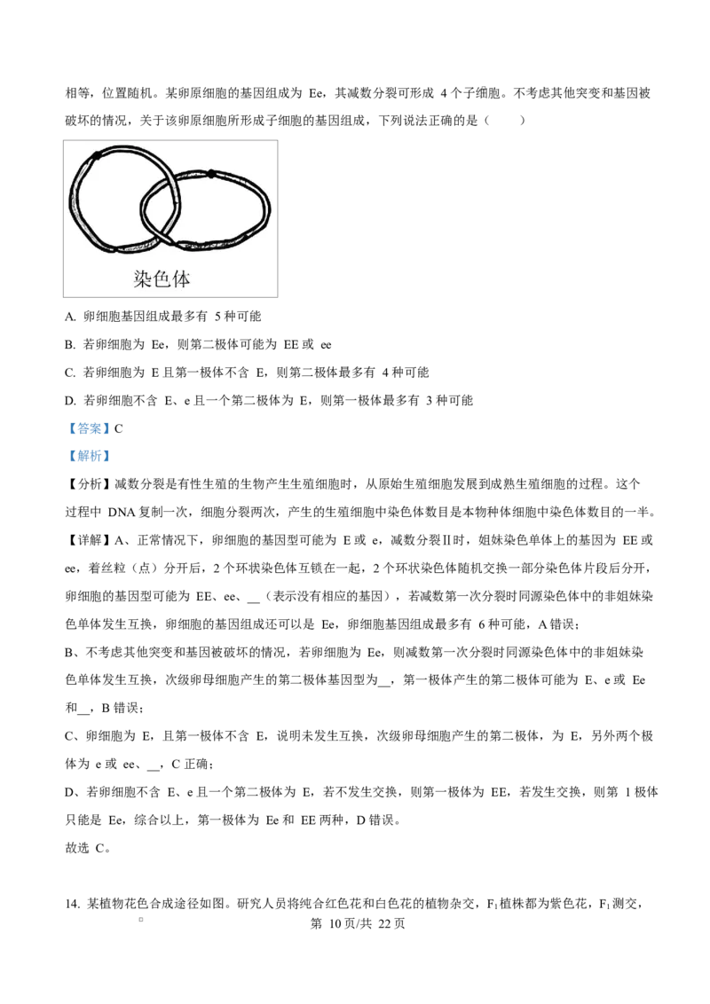 福建省厦门双十中学2026届高三（上）第一次月考+生物答案_2025年10月_251020福建省厦门双十中学2026届高三（上）第一次月考（全科）