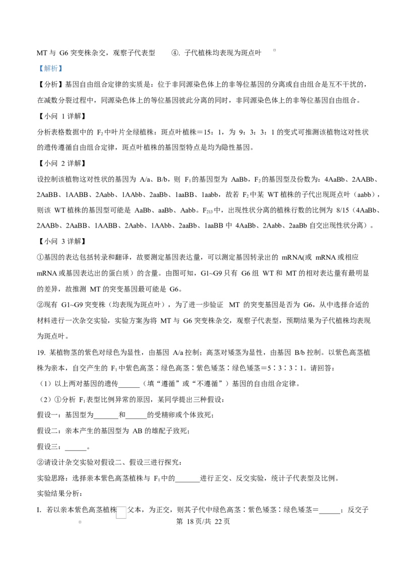 福建省厦门双十中学2026届高三（上）第一次月考+生物答案_2025年10月_251020福建省厦门双十中学2026届高三（上）第一次月考（全科）