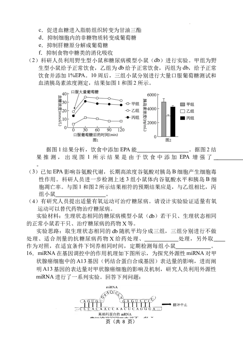 天津市五区县重点校2024-2025学年高三上学期1月期末生物_2025年1月_250117天津市五区县重点校2024-2025学年高三上学期1月期末联考（全科）