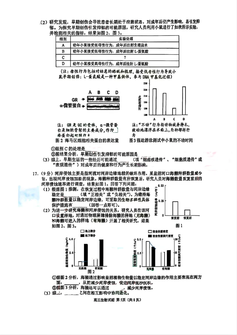 福建省泉州市2025届高中毕业班质量监测（三）生物_2025年3月_250308福建省泉州市2025届高中毕业班质量监测（三）（全科）_福建省泉州市2025届高中毕业班质量监测（三）生物