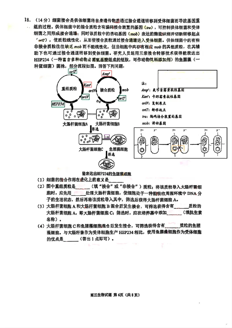福建省泉州市2025届高中毕业班质量监测（三）生物_2025年3月_250308福建省泉州市2025届高中毕业班质量监测（三）（全科）_福建省泉州市2025届高中毕业班质量监测（三）生物