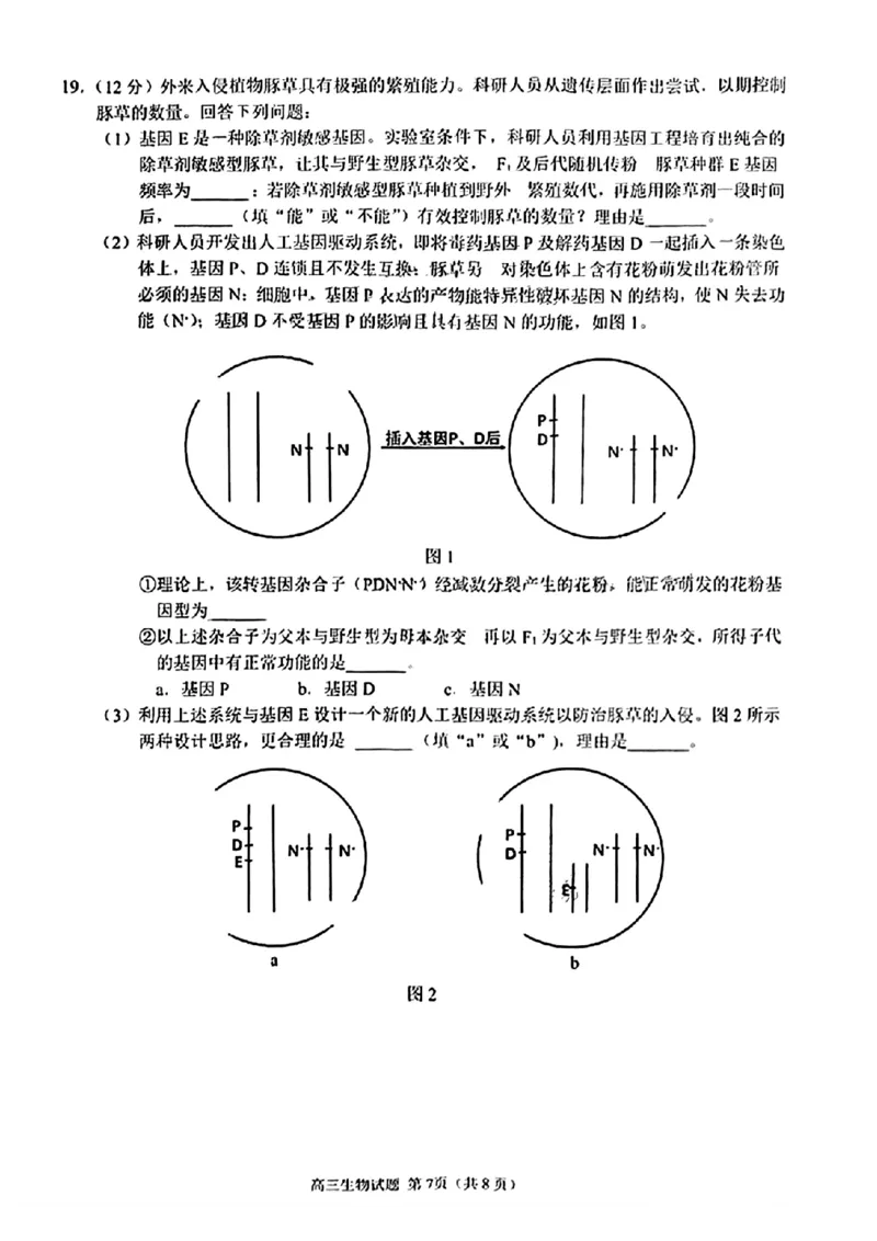 福建省泉州市2025届高中毕业班质量监测（三）生物_2025年3月_250308福建省泉州市2025届高中毕业班质量监测（三）（全科）_福建省泉州市2025届高中毕业班质量监测（三）生物