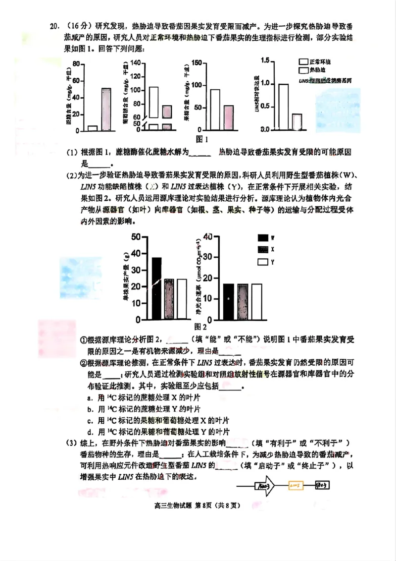 福建省泉州市2025届高中毕业班质量监测（三）生物_2025年3月_250308福建省泉州市2025届高中毕业班质量监测（三）（全科）_福建省泉州市2025届高中毕业班质量监测（三）生物