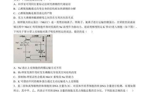江西省景德镇市2025届高三下学期4月三模试题生物含答案_2025年4月_250424江西省景德镇市2025届高三下学期4月三模（全科）