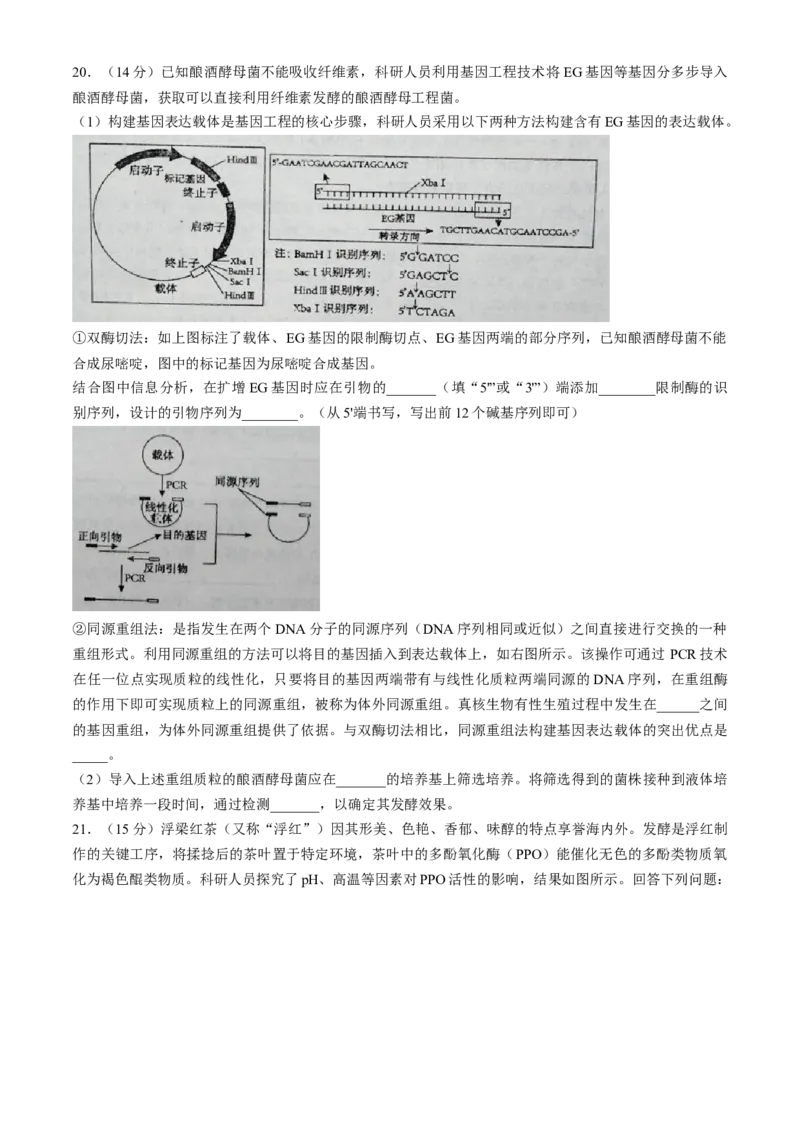 江西省景德镇市2025届高三下学期4月三模试题生物含答案_2025年4月_250424江西省景德镇市2025届高三下学期4月三模（全科）