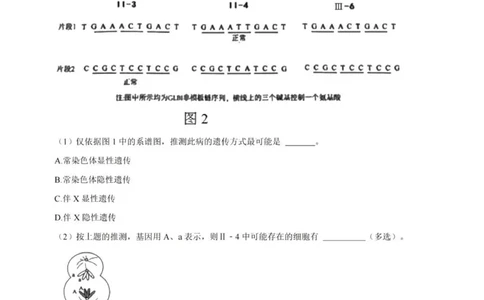 2024上海生物等级考考前必刷信息卷5含解析_2024高考押题卷_62024学科网全系列_2024年高考考前信息必刷卷_（上海）信息必刷卷_2024上海生物等级考考前必刷信息卷（1-5）